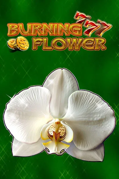 Burning Flower κουλοχέρης — RoboCat Casino GR